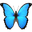 butterfly-1590.png