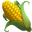 кукурузный початок