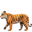 тигр