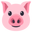 морда свиньи
