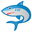 акула