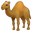 одногорбый верблюд