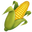 кукурузный початок